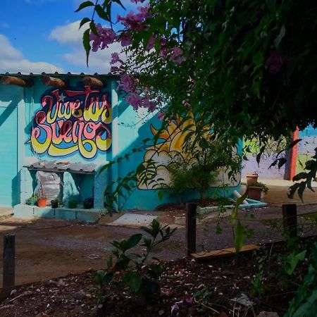 ミナス Social-Club La Cuevaホステル エクステリア 写真